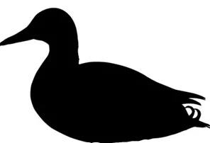 Taste Of The Wild Lowland Creek 2 Kg