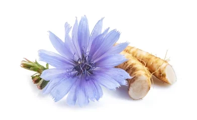 Nature's Protection Superior Care Sensitive Skin & Stomach Lamb Adult All Breed 1.5 Kg