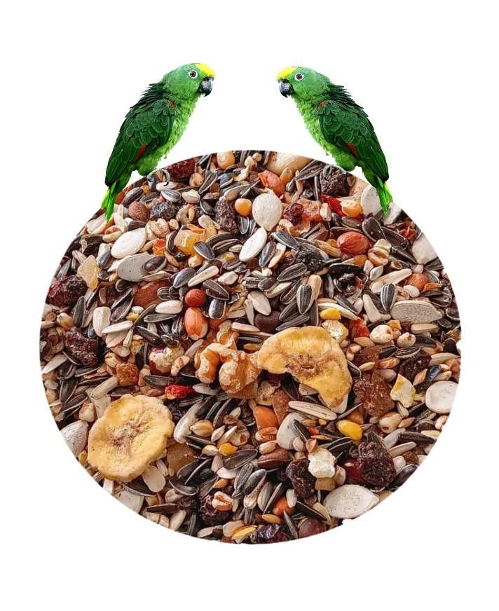 Versele Laga Mix de Fructe Exotice Pentru Papagali 600 g