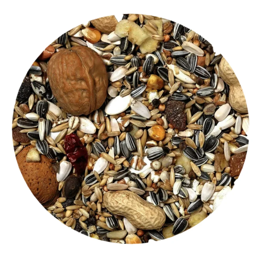 Versele Laga Mix de Nuci Exotice Pentru Papagali 750 g