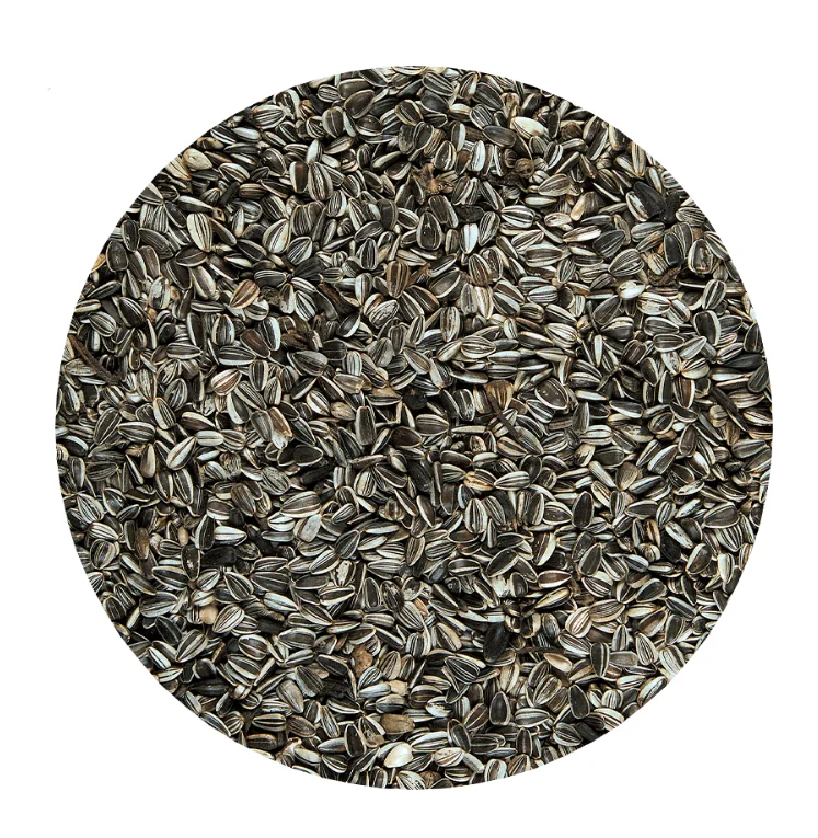 Versele Laga Seminte de Floarea Soarelui Pestrite 600 g