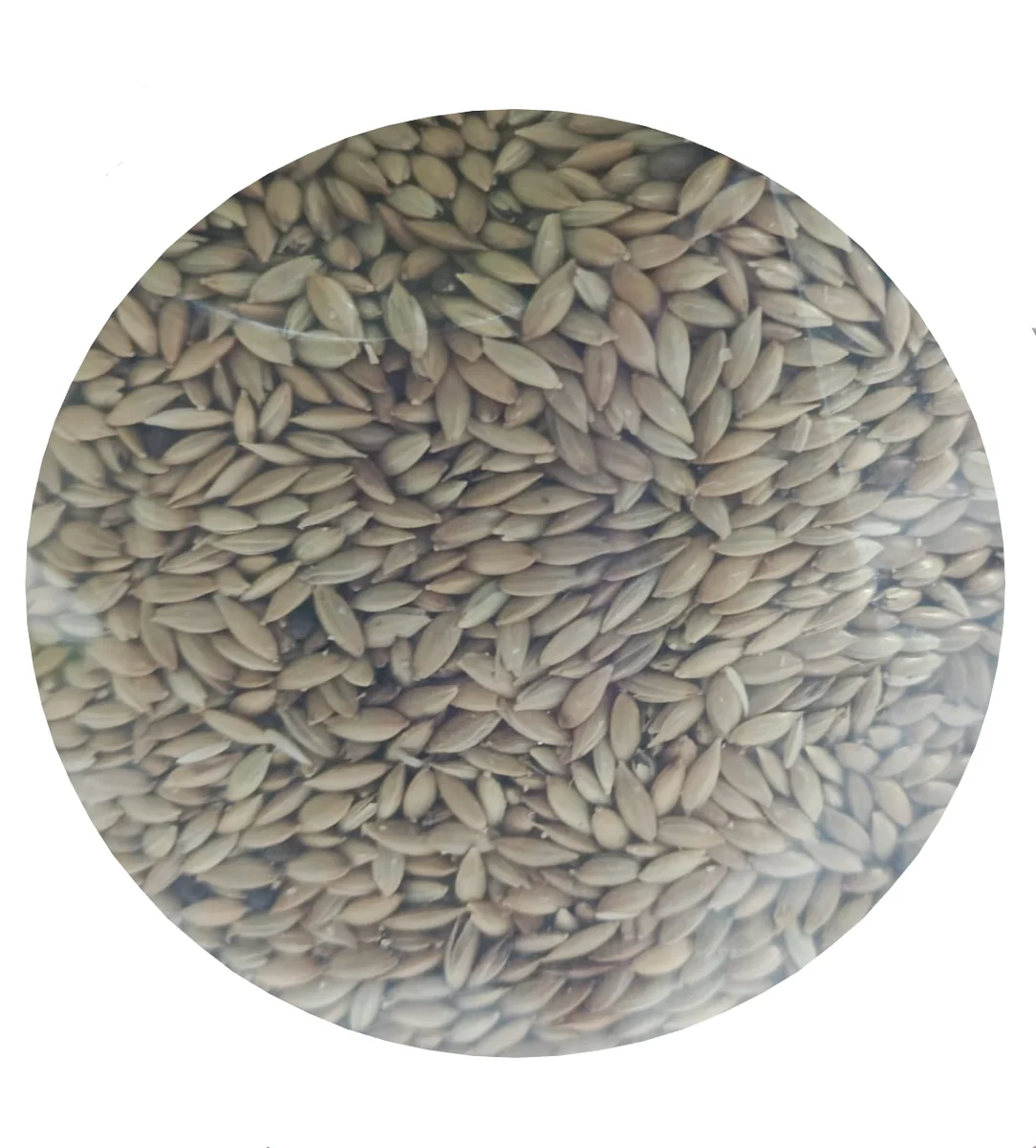 Versele Laga Seminte Pentru Canar 1 Kg