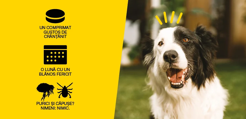 AdTab Dog Tableta Antiparazitara