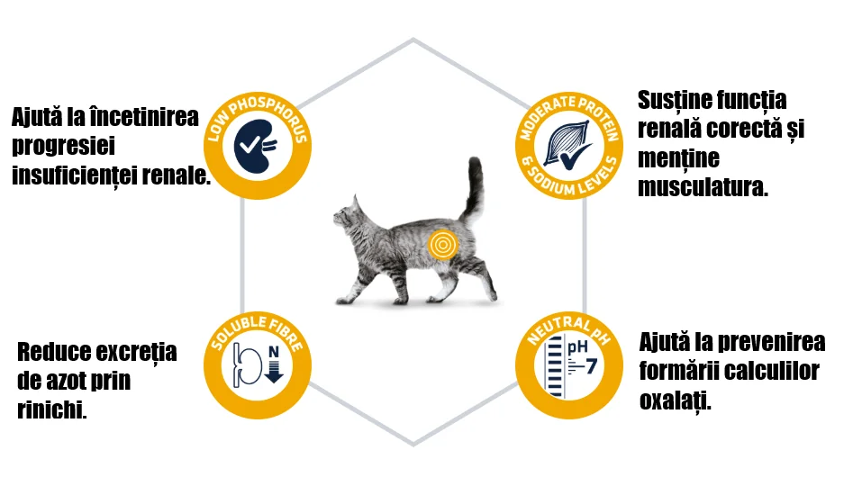 Advance Cat Dieta Insuficienta Renala 1.5 Kg