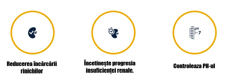 Advance Cat Dieta Insuficienta Renala 1.5 Kg