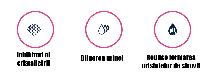 Advance Cat Dieta Urinary 1.5 Kg