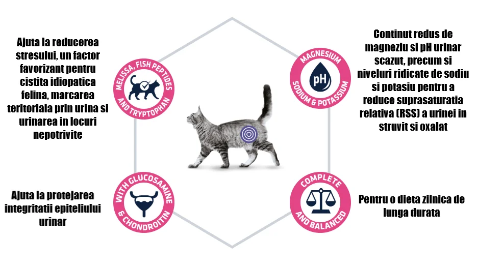 Advance Cat Dieta Urinary Stress 1.25 Kg