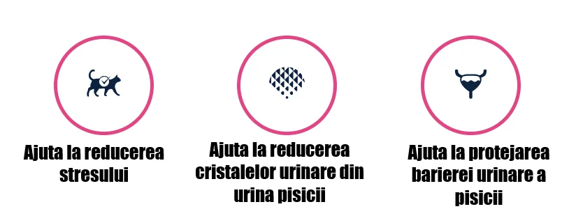 Advance Cat Dieta Urinary Stress 1.25 Kg