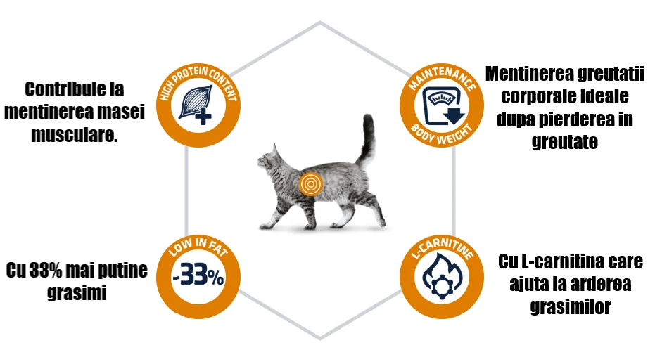 Advance Cat Dieta Weight Balance 1.5 Kg