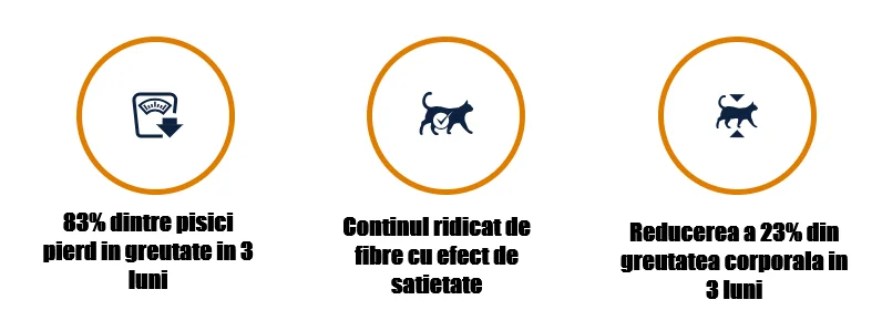 Advance Cat Dieta Weight Balance 1.5 Kg