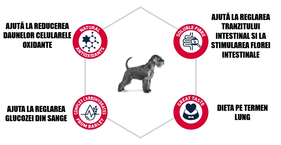 Advance Dog Dieta Colite Diabetic 3 Kg