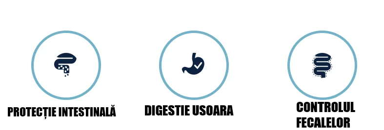 Advance Dog Dieta Gastroenteric 3 Kg