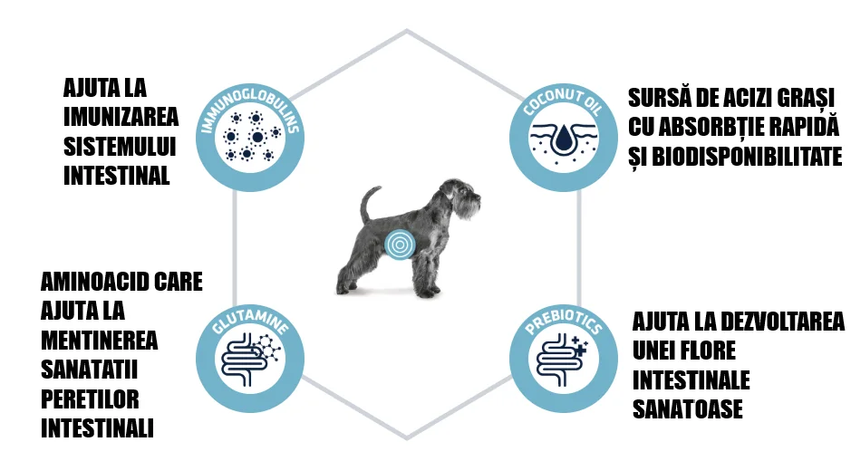 Advance Dog Dieta Gastroenteric 3 Kg