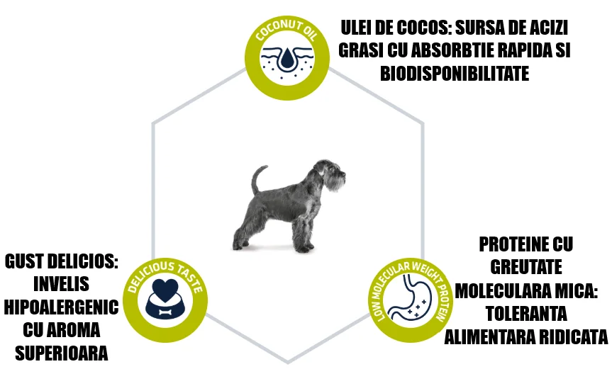 Advance Dog Dieta Hypoallergenic 2.5 Kg