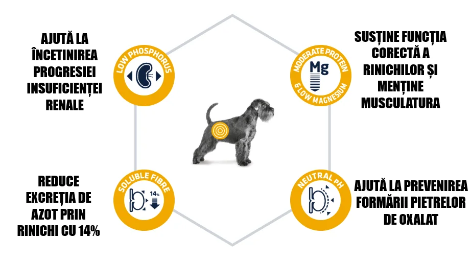 Advance Dog Dieta Insuficienta Renala 3 Kg