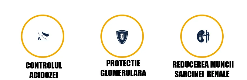 Advance Dog Dieta Insuficienta Renala 3 Kg