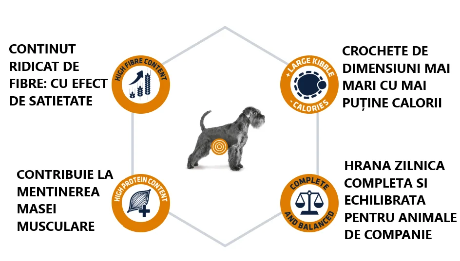 Advance Dog Dieta Weight Balance 3 Kg