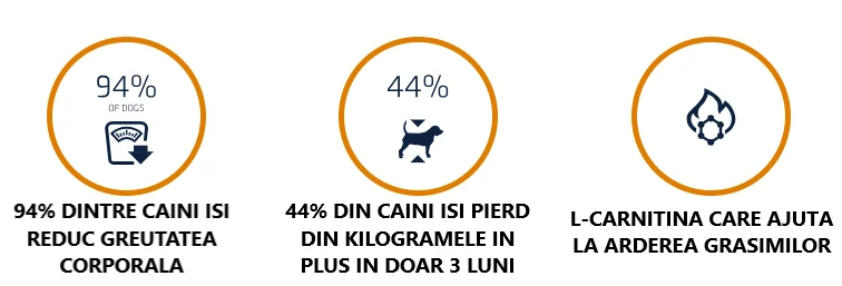 Advance Dog Dieta Weight Balance 3 Kg