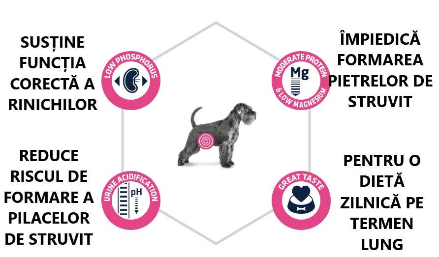 Advance Dog Dieta Urinary 3 Kg