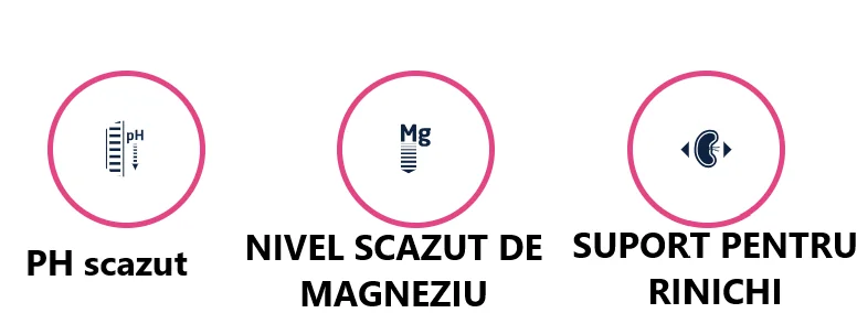 Advance Dog Dieta Urinary 3 Kg