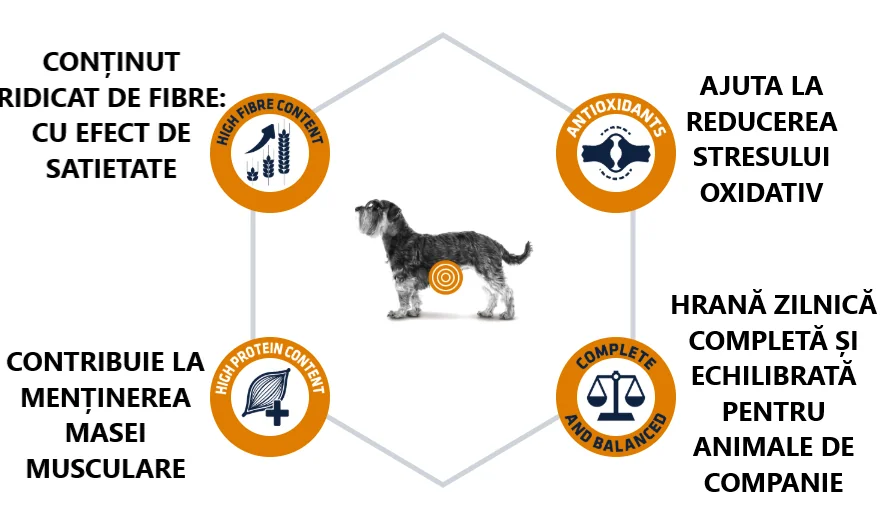 Advance Dog Dieta Weight Balance Mini 1.5 Kg