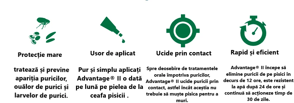Advantage Pipeta Pisica
