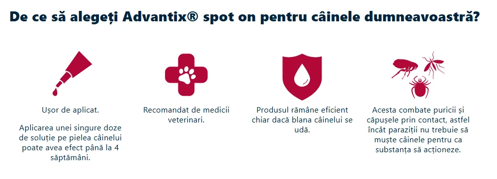 Advantix Pipeta Caine