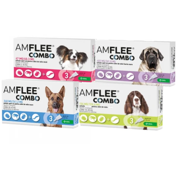 AmFlee Combo Câine