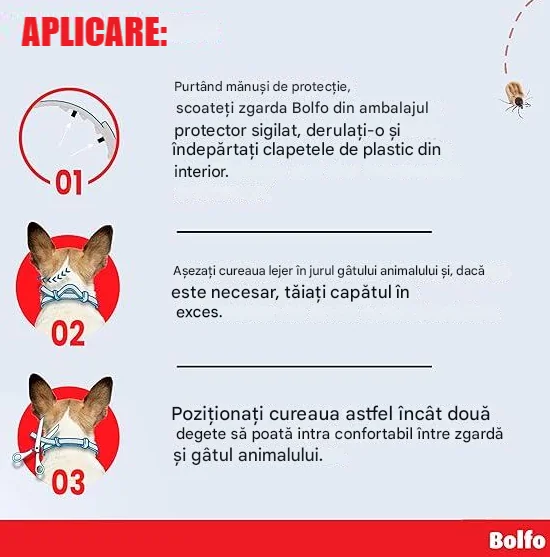 Bolfo Zgarda Caine/Pisica