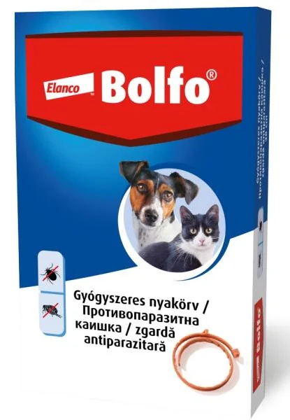 Bolfo Zgarda Caine/Pisica