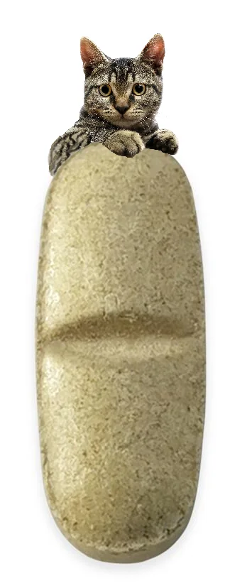 Cestal Pisica CPR-CEV