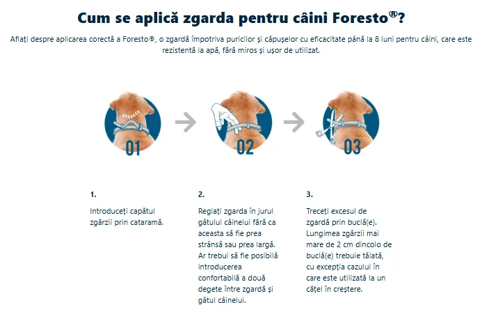 Foresto Zgarda Caini