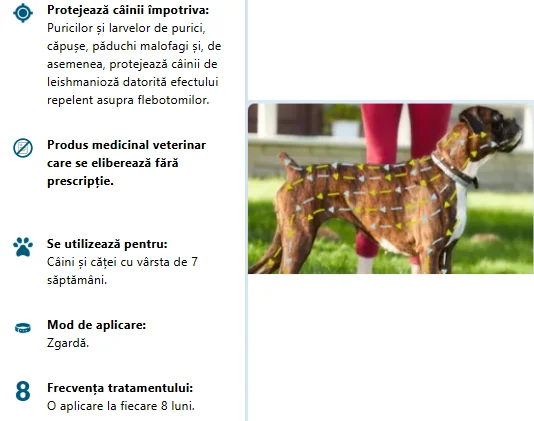 Foresto Zgarda Caini