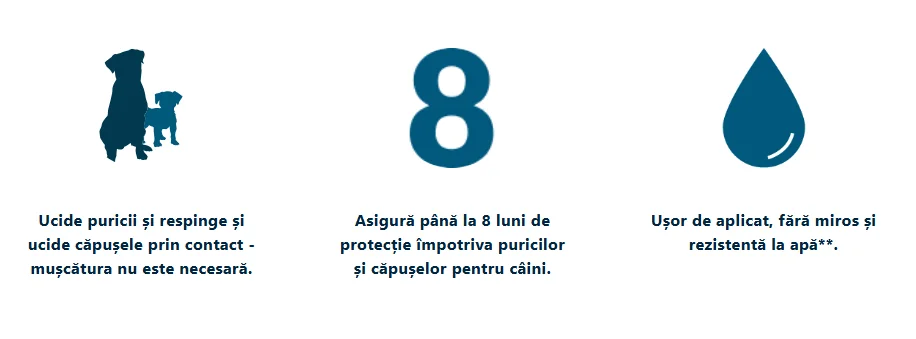 Foresto Zgarda Caini