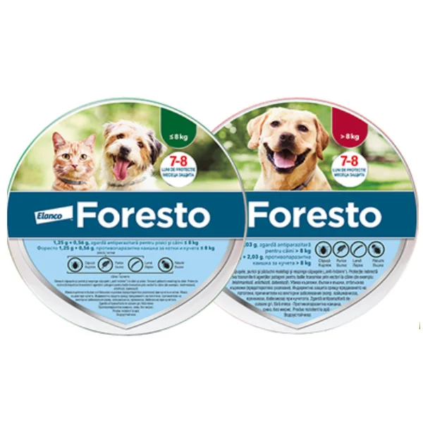 Foresto Zgarda Caini