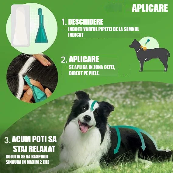 Frontline Combo Caine