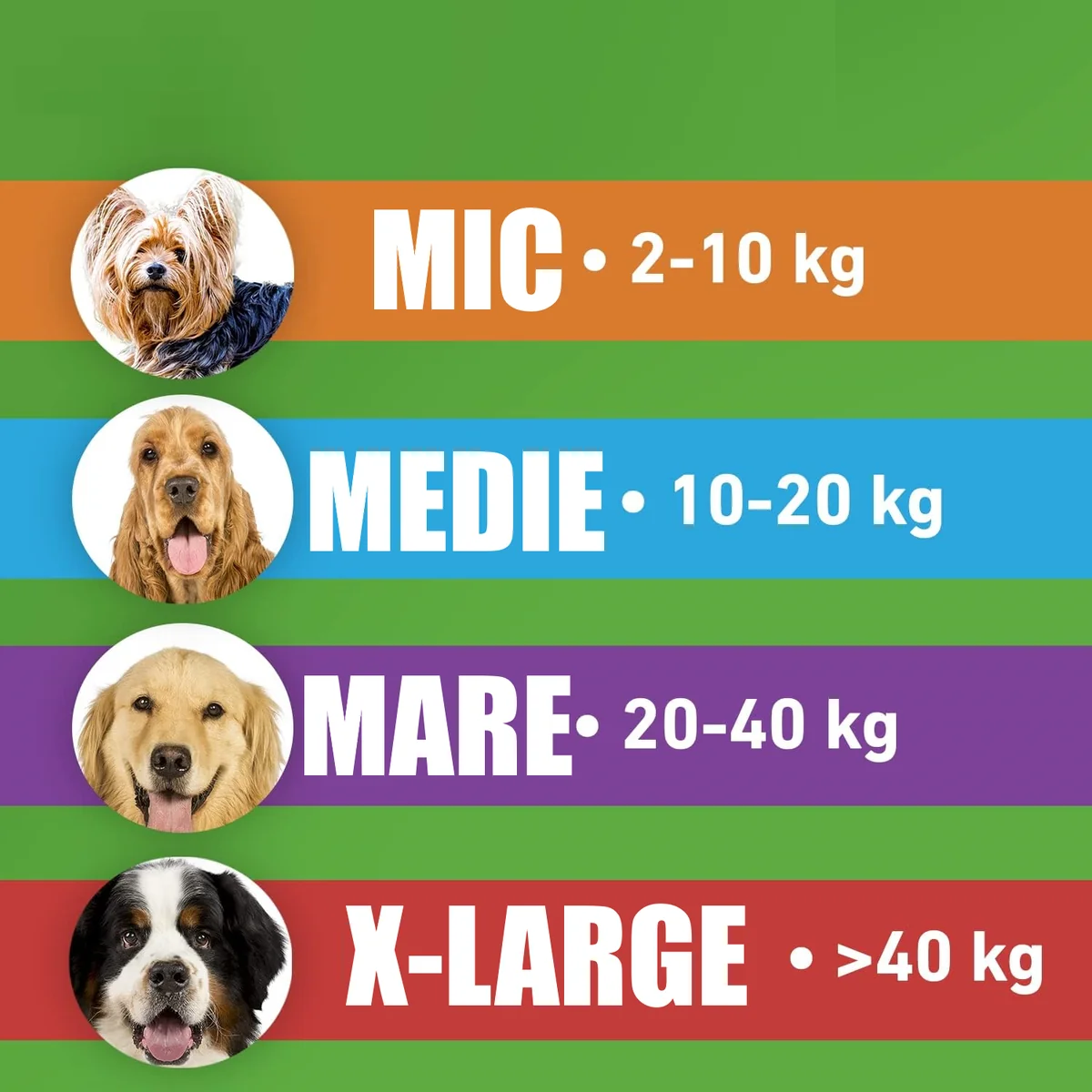 Frontline Combo Caine