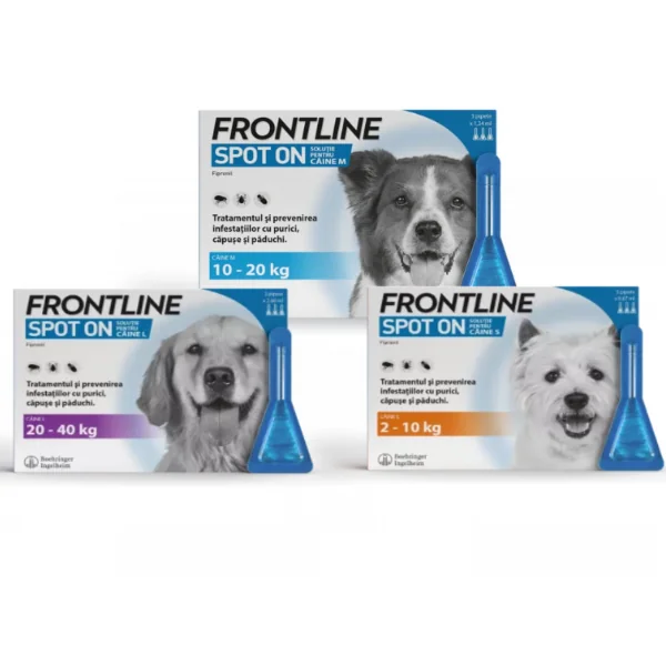 Frontline Caine