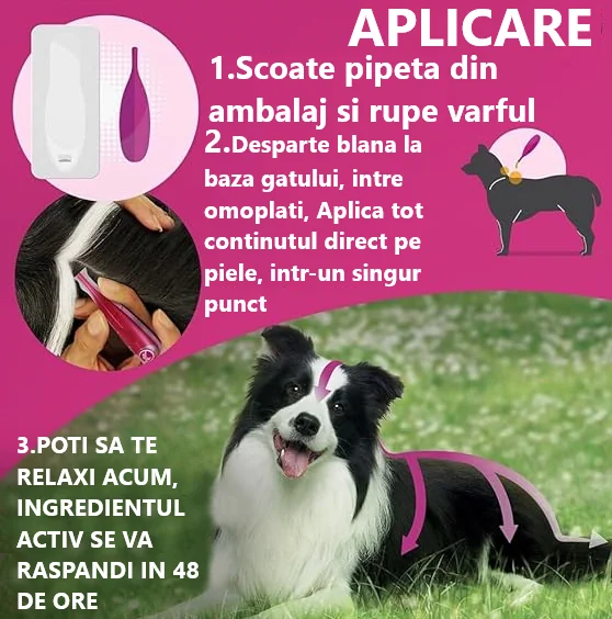 Frontline Tri-Act Caine