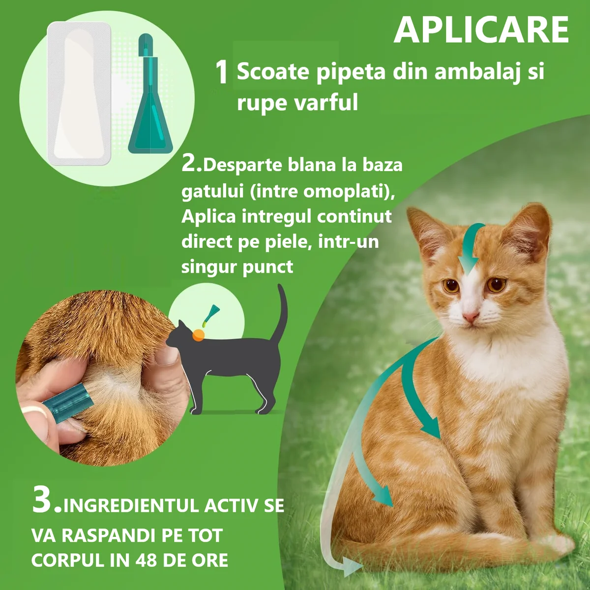 Frontline Combo Pisica