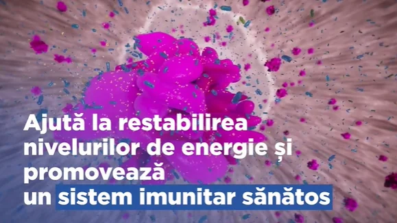 Hills Caine Dieta Conserva I/D Low Fat Stew 354 G