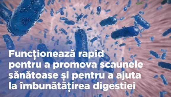 Hills Caine Dieta Conserva I/D Low Fat Stew 354 G