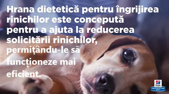 Hills Canin Dieta Conserva K/D 370 G