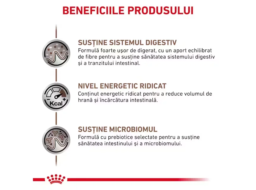 Royal Canin Cat Dieta Gastro Intestinal