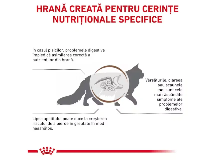 Royal Canin Cat Dieta Gastro Intestinal