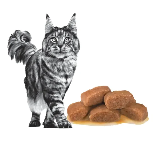 Royal Canin Cat Dieta Plic Gastro Intestinal Moderat Calories 12 x 85 g