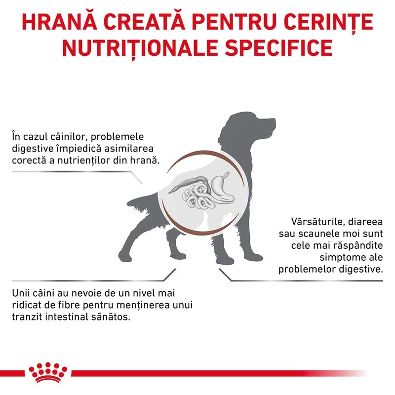 Royal Canin Dieta Conserva Fiber Loaf 200 g