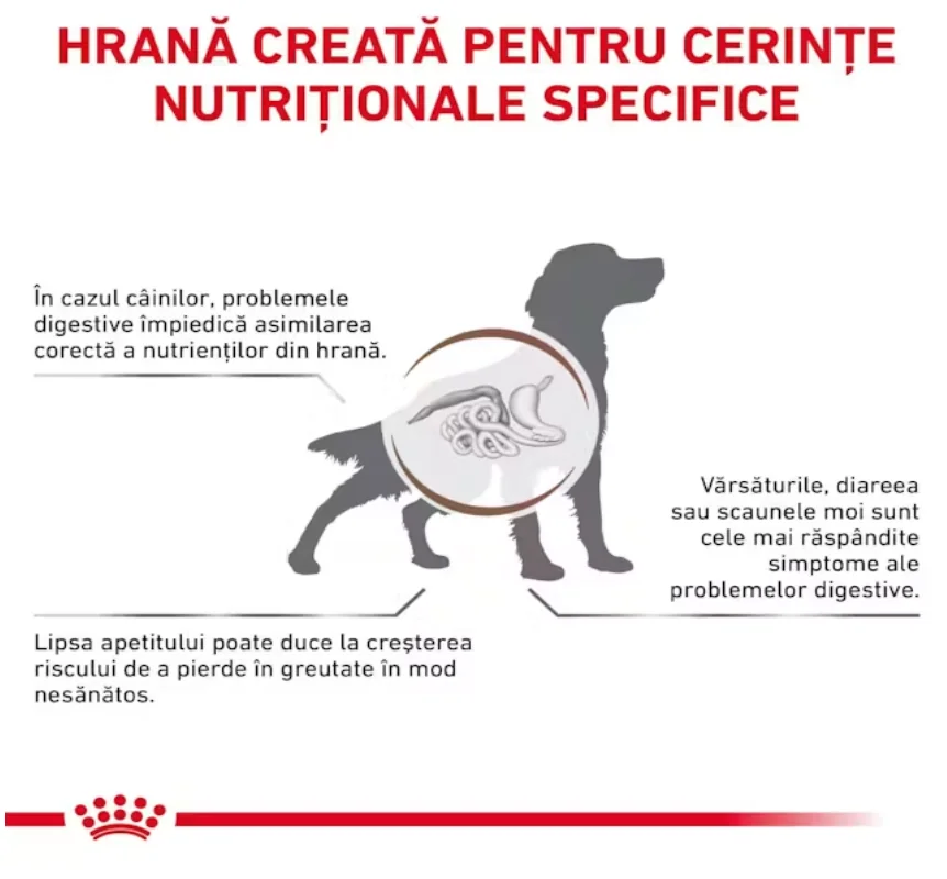 Royal Canin Dieta Gastrointestinal