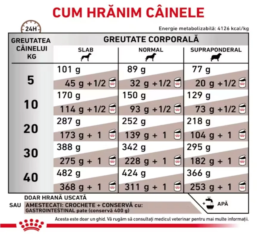 Royal Canin Dieta Gastrointestinal