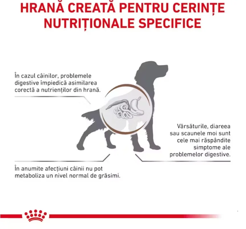 Royal Canin Dieta Gastrointestinal Low Fat